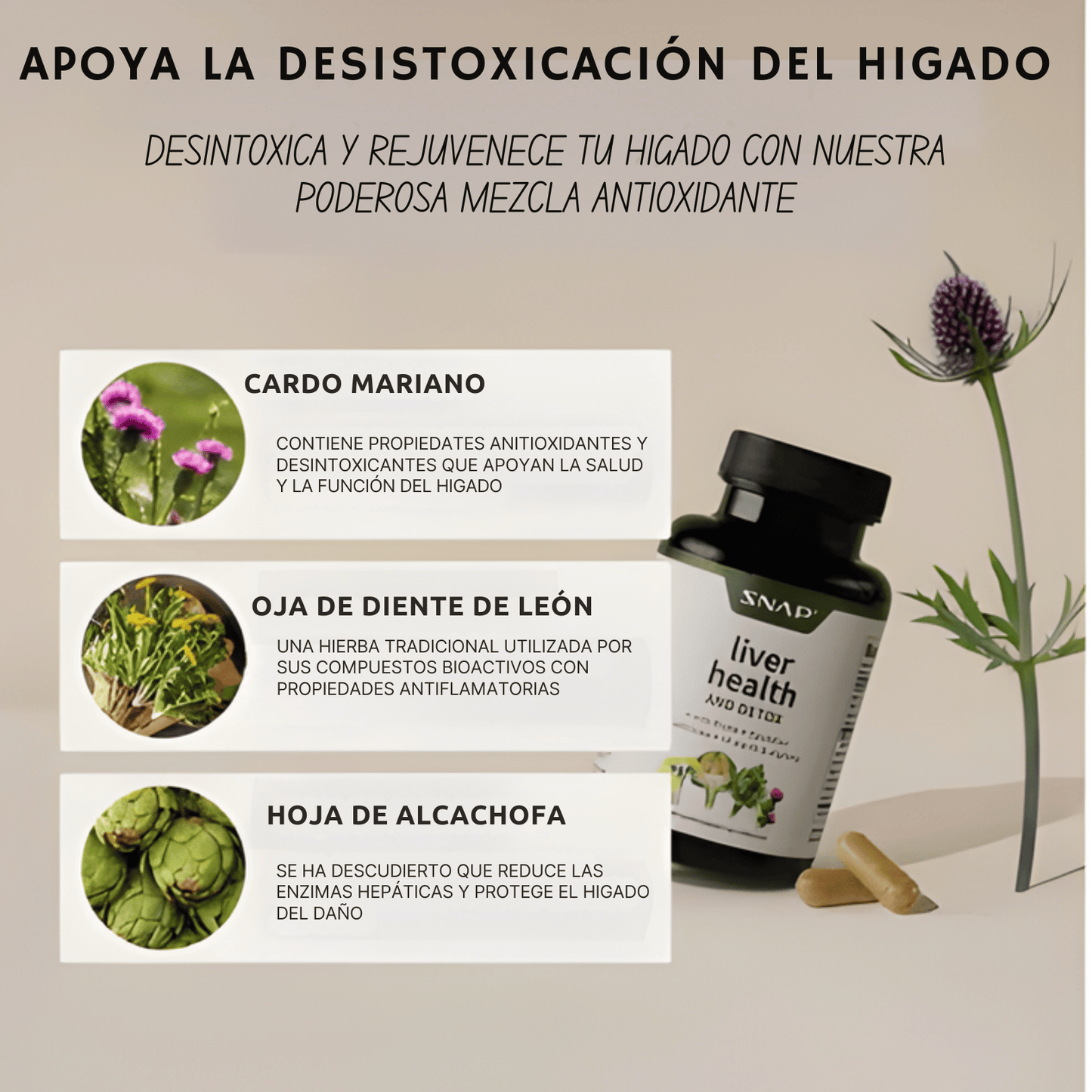 LIVER HEALTH (DESINTOXICA TU HIGADO) F-V