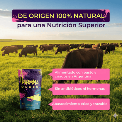 PRIMAL QUEEN : RECUPERA TU EQUILIBRIO FEMENINO t-v